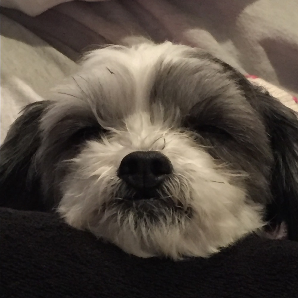 Meet your Posher, Mei